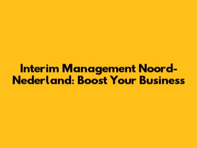 Interim Management Noord-Nederland: Boost Your Business