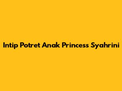 Intip Potret Anak Princess Syahrini