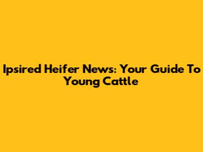 Ipsired Heifer News: Your Guide To Young Cattle