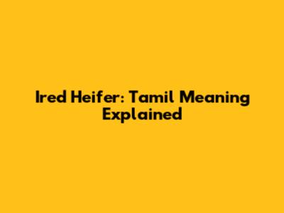 Ired Heifer: Tamil Meaning Explained