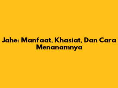 Jahe: Manfaat, Khasiat, Dan Cara Menanamnya