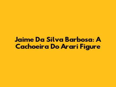 Jaime Da Silva Barbosa: A Cachoeira Do Arari Figure