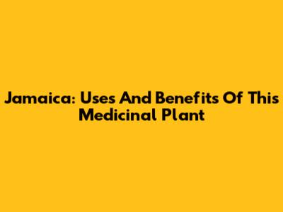 Jamaica: Uses And Benefits Of This Medicinal Plant