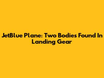 JetBlue Plane: Two Bodies Found In Landing Gear