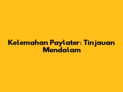 Kelemahan Paylater: Tinjauan Mendalam