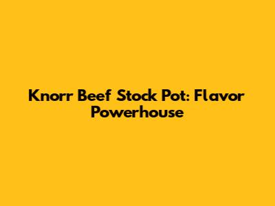 Knorr Beef Stock Pot: Flavor Powerhouse