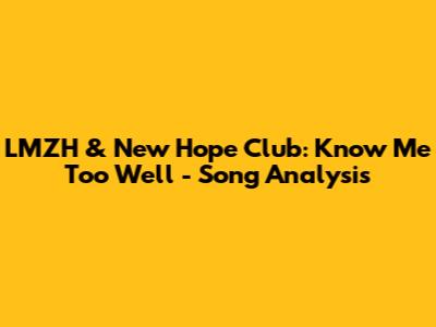 LMZH & New Hope Club: Know Me Too Well - Song Analysis