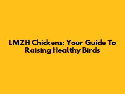 LMZH Chickens: Your Guide To Raising Healthy Birds
