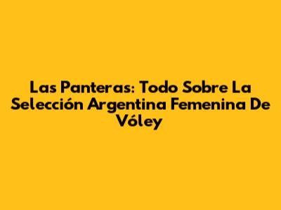 Las Panteras: Todo Sobre La Selección Argentina Femenina De Vóley