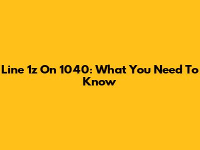 Line 1z On 1040: What You Need To Know