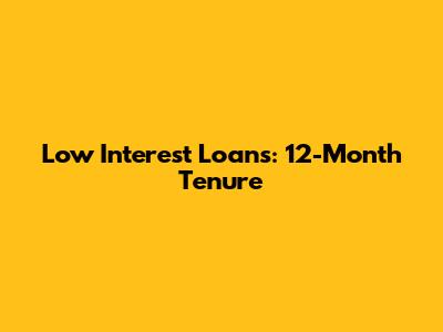 Low Interest Loans: 12-Month Tenure