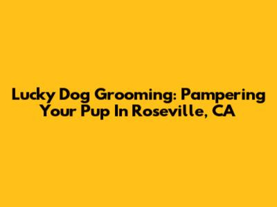 Lucky Dog Grooming: Pampering Your Pup In Roseville, CA