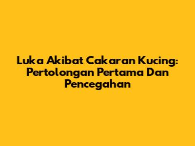 Luka Akibat Cakaran Kucing: Pertolongan Pertama Dan Pencegahan
