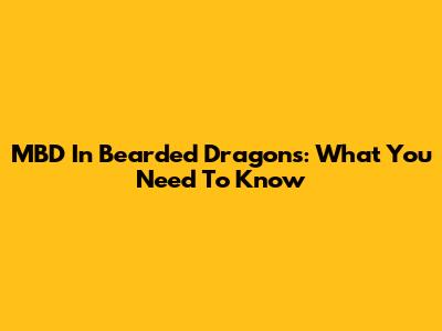 MBD In Bearded Dragons: What You Need To Know
