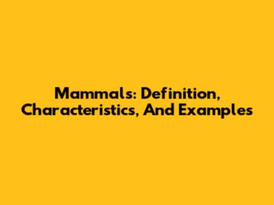 Mammals: Definition, Characteristics, And Examples