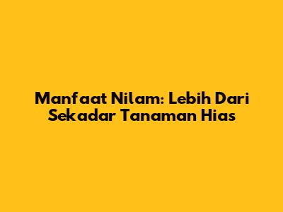 Manfaat Nilam: Lebih Dari Sekadar Tanaman Hias
