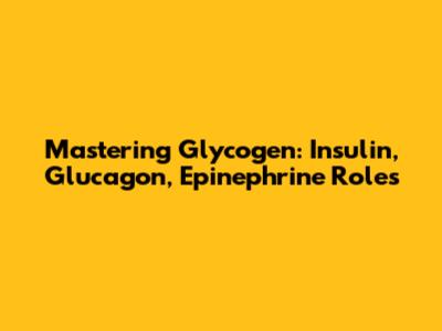 Mastering Glycogen: Insulin, Glucagon, Epinephrine Roles
