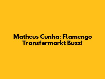 Matheus Cunha: Flamengo Transfermarkt Buzz!