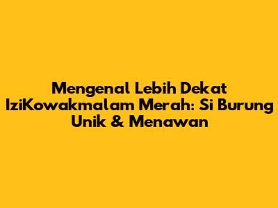 Mengenal Lebih Dekat IziKowakmalam Merah: Si Burung Unik & Menawan