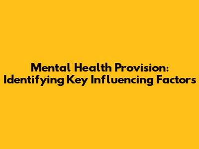 Mental Health Provision: Identifying Key Influencing Factors
