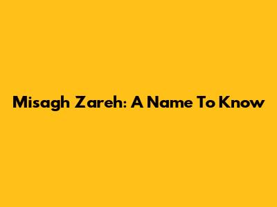Misagh Zareh: A Name To Know