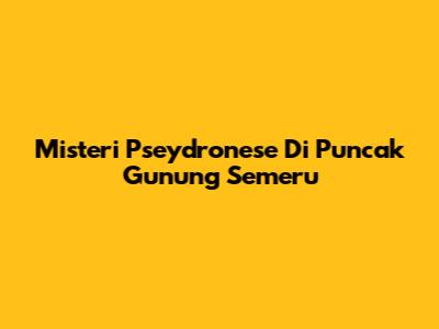 Misteri Pseydronese Di Puncak Gunung Semeru