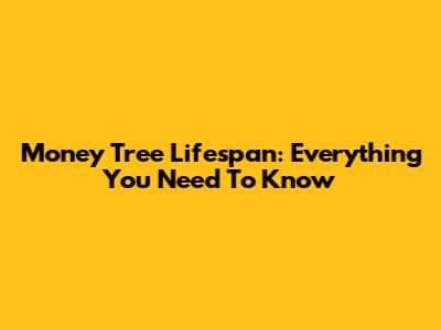 Money Tree Lifespan: Everything You Need To Know