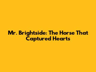 Mr. Brightside: The Horse That Captured Hearts