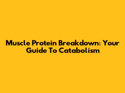 Muscle Protein Breakdown: Your Guide To Catabolism