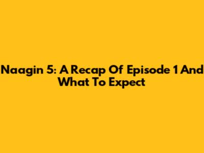 Naagin 5: A Recap Of Episode 1 And What To Expect