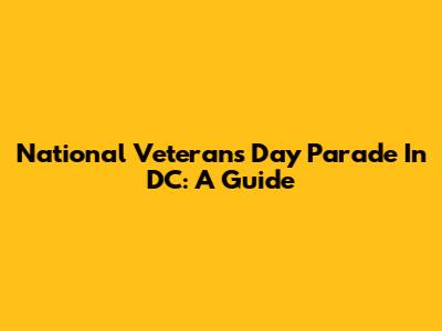 National Veterans Day Parade In DC: A Guide