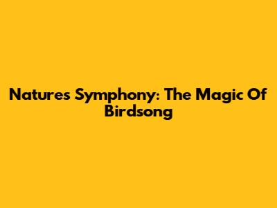 Nature's Symphony: The Magic Of Birdsong