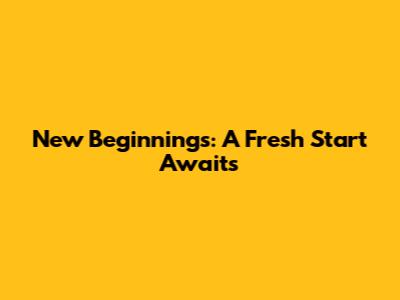 New Beginnings: A Fresh Start Awaits
