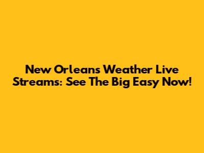 New Orleans Weather Live Streams: See The Big Easy Now!