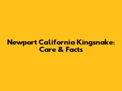 Newport California Kingsnake: Care & Facts