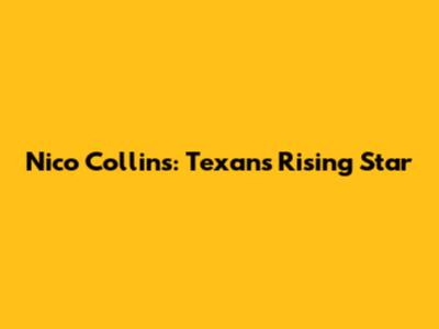 Nico Collins: Texans' Rising Star