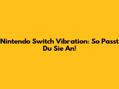 Nintendo Switch Vibration: So Passt Du Sie An!