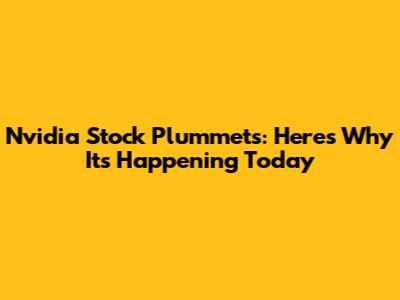 Nvidia Stock Plummets: Here's Why It's Happening Today