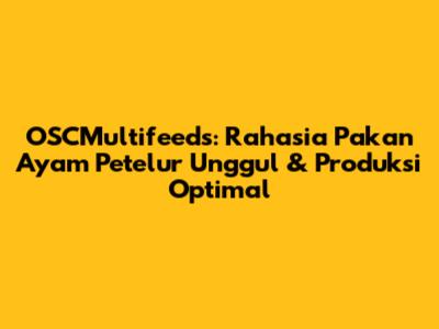OSCMultifeeds: Rahasia Pakan Ayam Petelur Unggul & Produksi Optimal