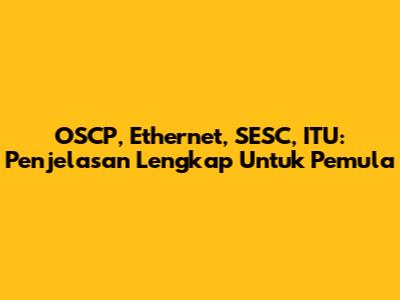OSCP, Ethernet, SESC, ITU: Penjelasan Lengkap Untuk Pemula