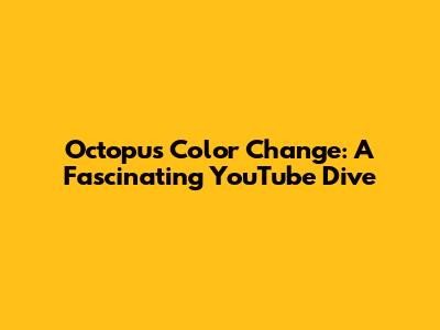 Octopus Color Change: A Fascinating YouTube Dive
