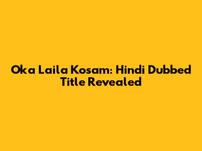 Oka Laila Kosam: Hindi Dubbed Title Revealed