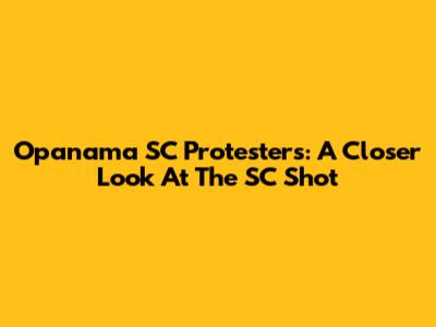 Opanama SC Protesters: A Closer Look At The SC Shot