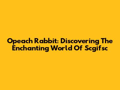 Opeach Rabbit: Discovering The Enchanting World Of Scgifsc