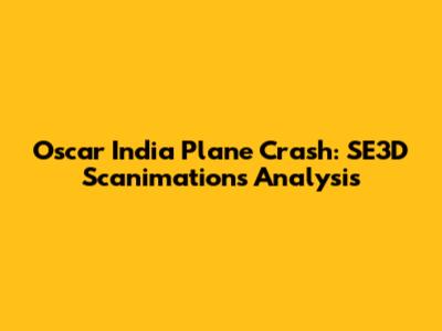 Oscar India Plane Crash: SE3D Scanimations Analysis