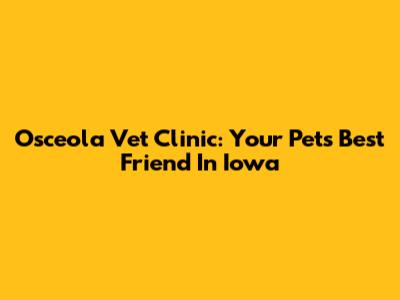 Osceola Vet Clinic: Your Pet's Best Friend In Iowa