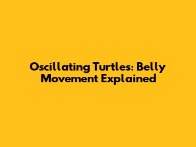 Oscillating Turtles: Belly Movement Explained