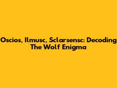 Oscios, Ilmusc, Sclarsensc: Decoding The Wolf Enigma