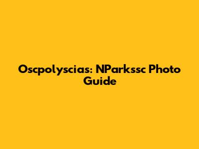 Oscpolyscias: NParkssc Photo Guide