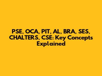 PSE, OCA, PIT, AL, BRA, SES, CHALTERS, CSE: Key Concepts Explained